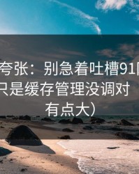别笑我夸张：别急着吐槽91网页版，你可能只是缓存管理没调对（信息量有点大）