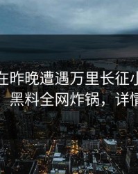 神秘人在昨晚遭遇万里长征小说热血沸腾，黑料全网炸锅，详情揭秘