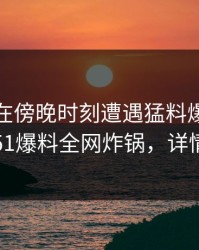 神秘人在傍晚时刻遭遇猛料爆炸性新闻，51爆料全网炸锅，详情点击