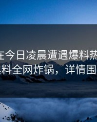 圈内人在今日凌晨遭遇爆料热血沸腾，黑料全网炸锅，详情围观