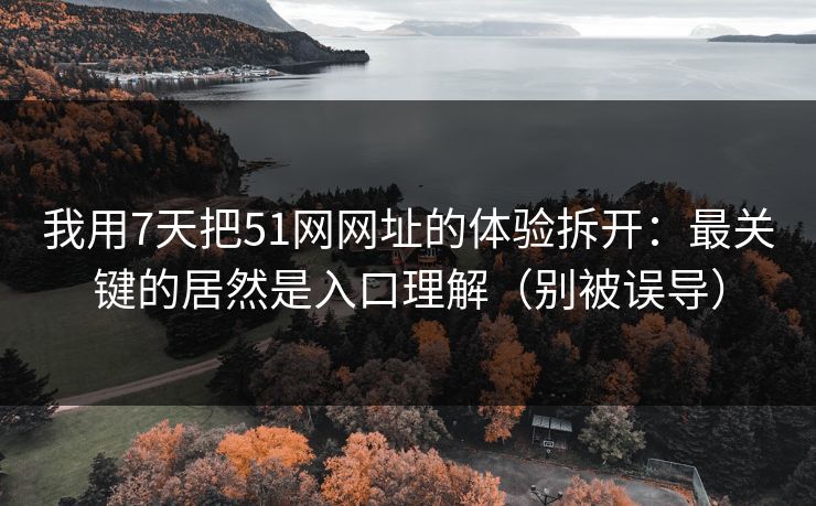 我用7天把51网网址的体验拆开:最关键的居然是入口理解(别被误导) 我用7天把51网网址的体验拆开:最关键的居然是入口理解(别被误导)