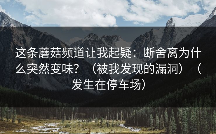 这条蘑菇频道让我起疑：断舍离为什么突然变味？（被我发现的漏洞）（发生在停车场）